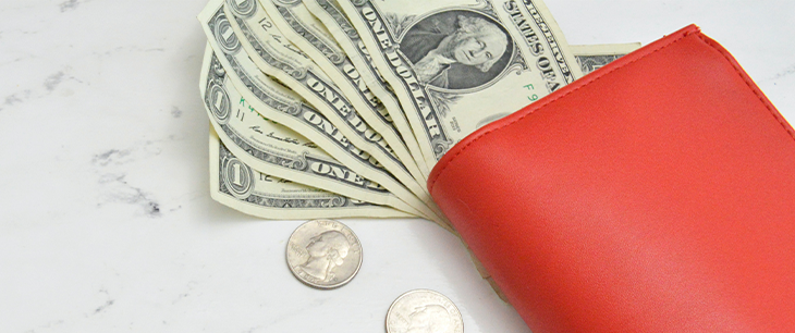 Cartera con dolares y monedas